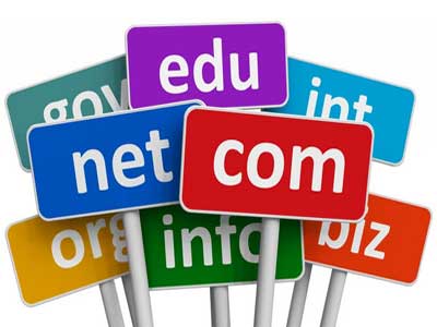 domain name and url